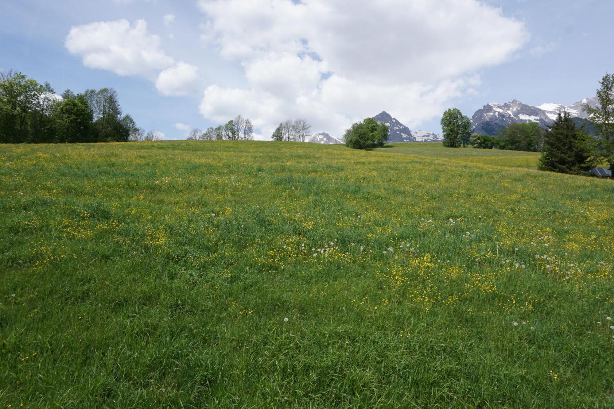 Pension & Appartements Anny Maria Alm am Steinernen Meer Luaran gambar