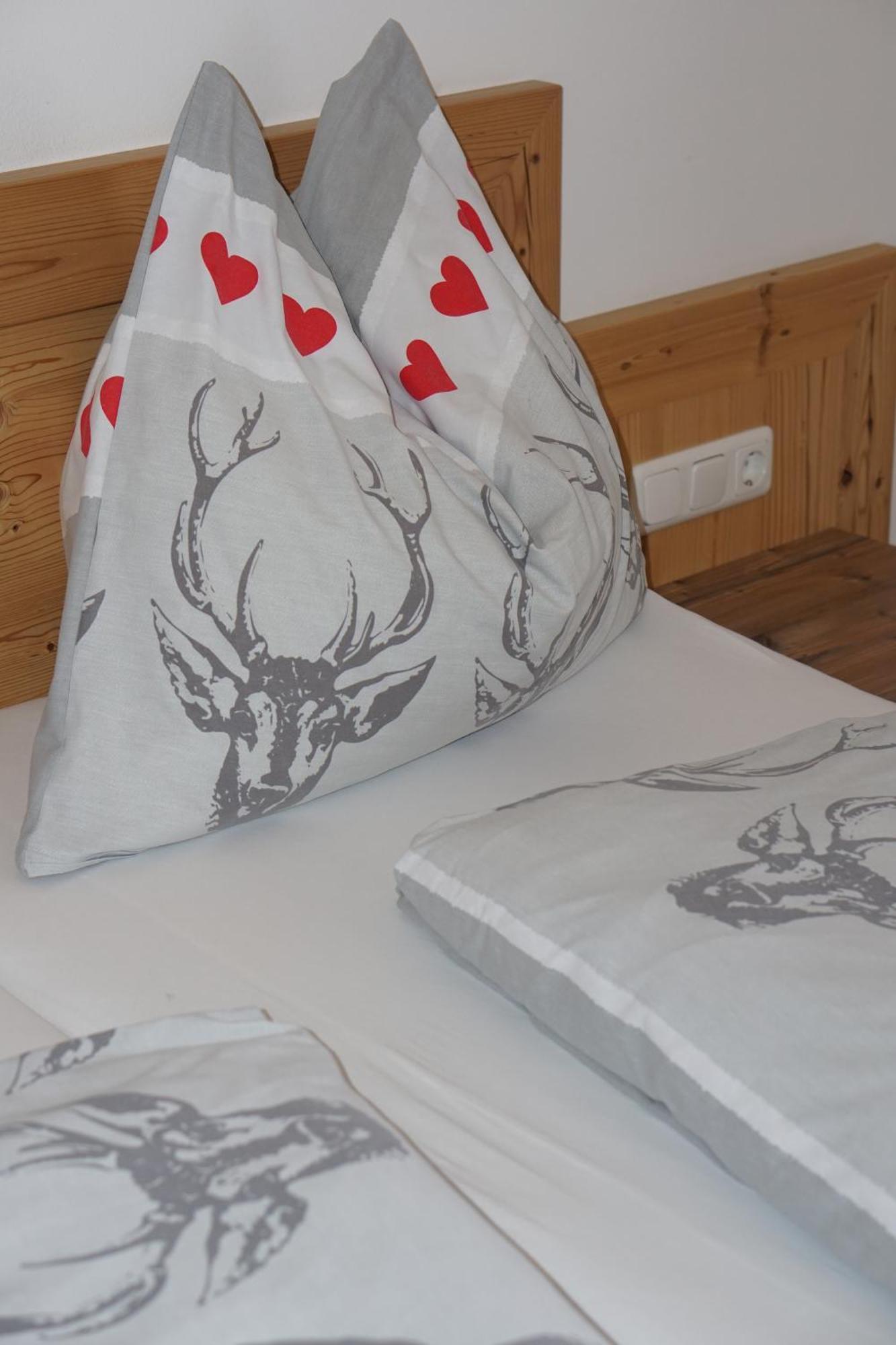 Pension & Appartements Anny Maria Alm am Steinernen Meer Luaran gambar